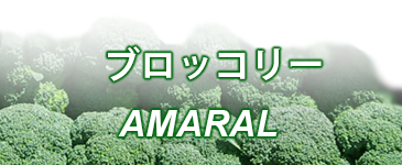 ブロッコリー AMARAL